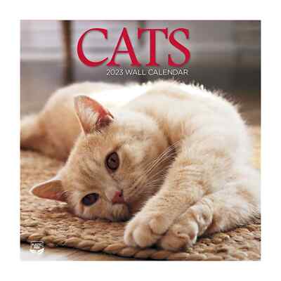 TURNER CATS 2023 Wall Calendar w $14.99 - PicClick