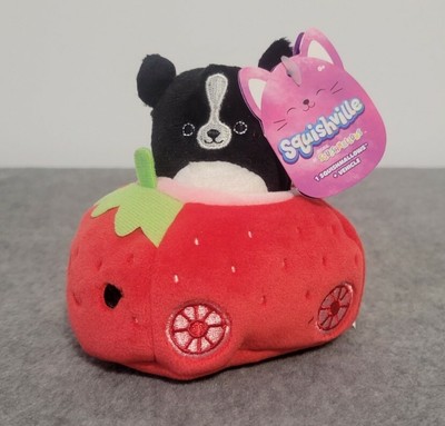 turning your pet into a stuffed animal