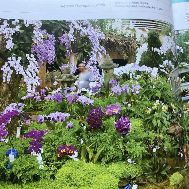 19th World Orchid Conference Book 2008 Folio 6