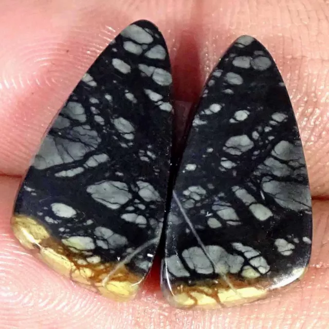 18.00Cts Natural Picasso Jasper Cabochon Loose Gemstone Fancy Pair