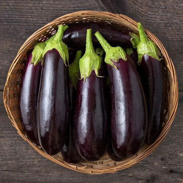 Eggplant Seeds - Black Beauty - USA Grown