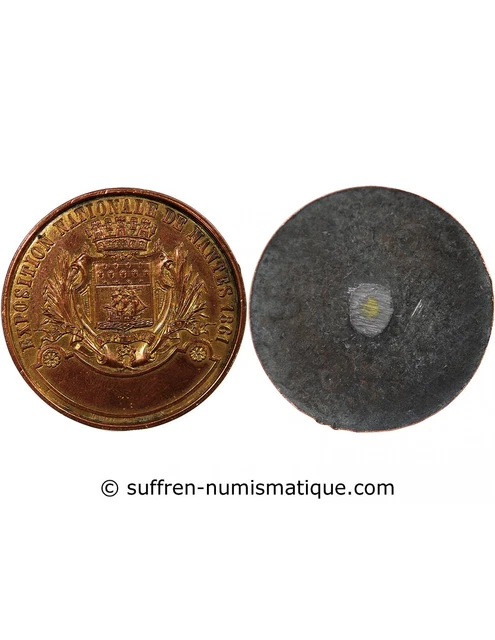 Médaille Française 1895 – Comice Agricole De Castres (Tarn), Cuivre, SUP, 42mm