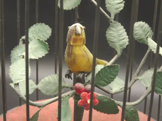 Wunderschöne Spieluhr singender Vogel im Käfig.