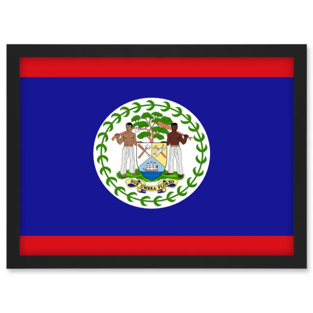 Belize National Flag World Flags Country Poster Framed Wall Art Picture Print A3