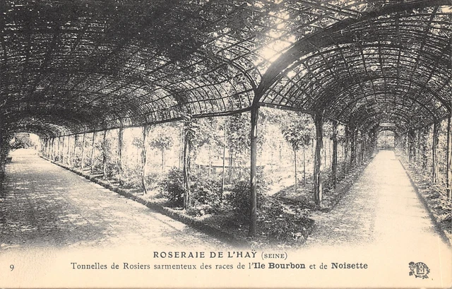 94-L Hay Les Roses-Roseraie-Tonnelles De Rosiers-N�6026-B/0325