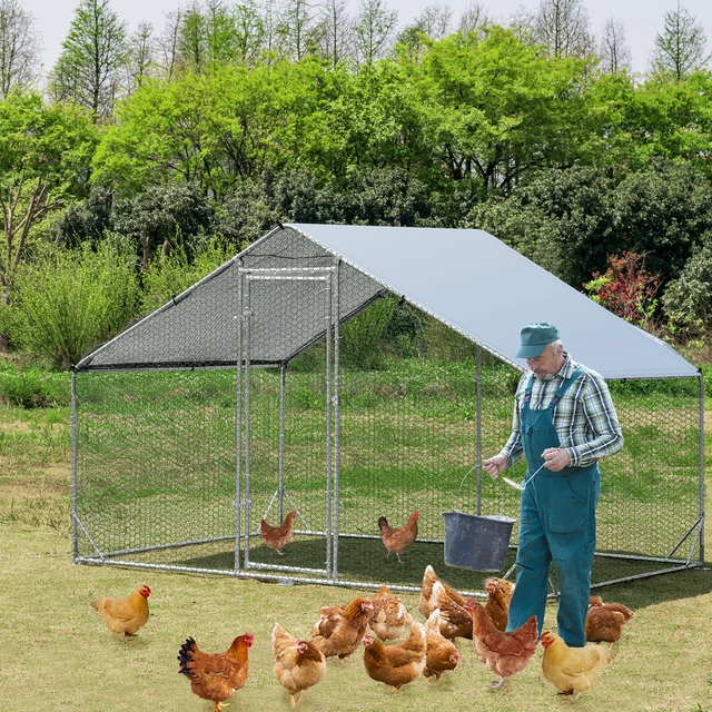 LARGE CHICKEN RUN Walk In Coop Poultry Cage Galvanized Metal Hen House