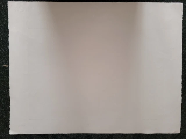Lithographie signée et numérotée signature à identifier 7/100 12
