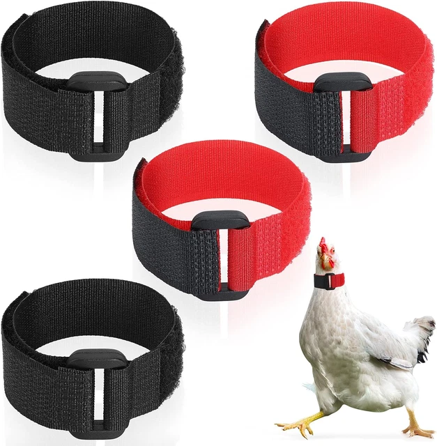 PROUSKY 4 Pieces Rooster Collar, No Crow Adjustable Chicken Collar Anti Hook for