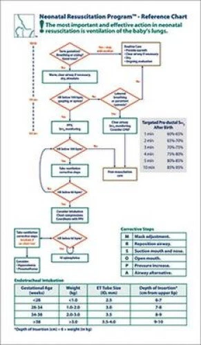 NEONATAL RESUSCITATION PROGRAM Reference Chart by American Academy of ...