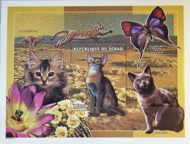 CHAD TSCHAD 1998 Block 282 A Katzenrassen Katzen Cats Fauna Tiere Animals MNH