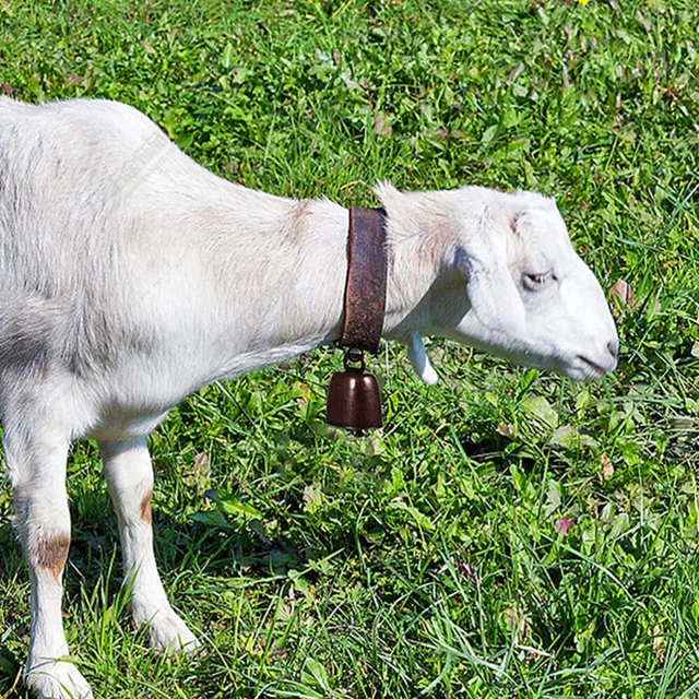4PCS COW HORSE Sheep Bells che suonano campane in Cow Cows Iron Crafts