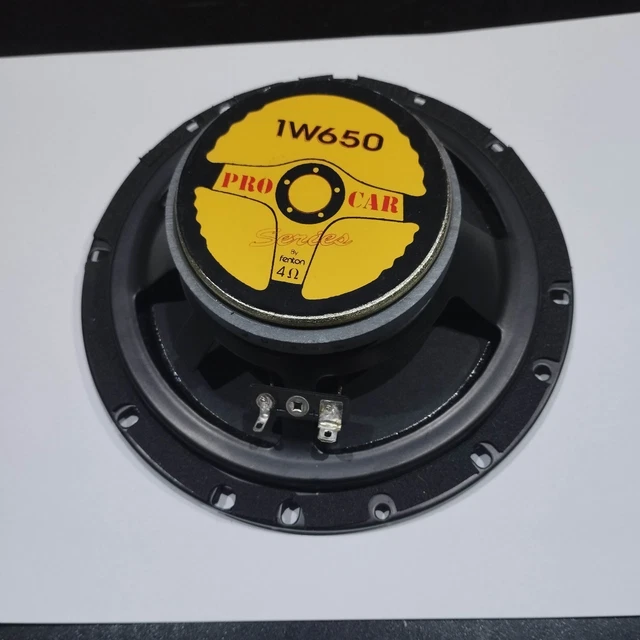 Haut-parleur 25 cm - 125 watts - 8 ohms - membrane polypropylène