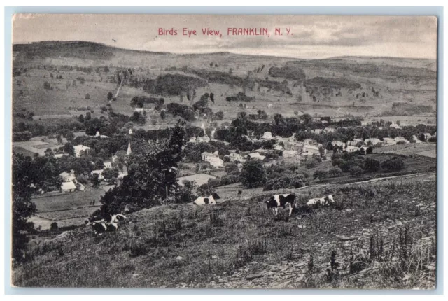 1910 Birds Eye View Cows in Franklin New York NY Posted Antique Postcard