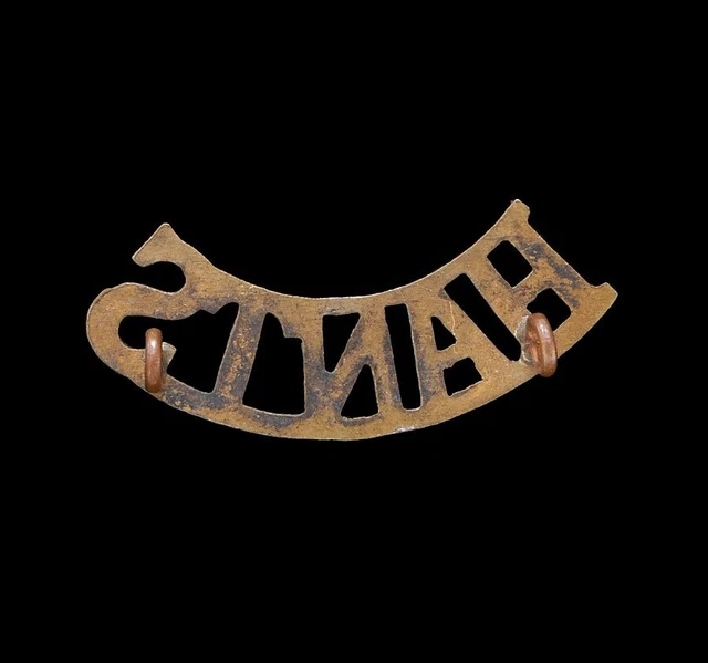 Hampshire Regiment 'HANTS' Shoulder Title Badge 2