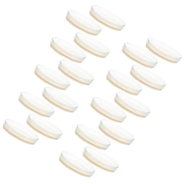 20 pcs Science Experiments Agar Plates Agar Petri Dishes Agar Plates for