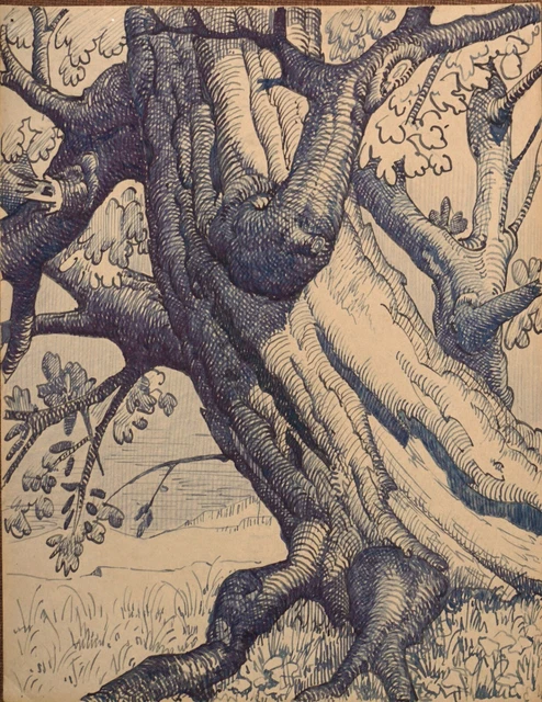 G.H.TRIBOUT   "" étude de tronc ""  dessin original à l'encre