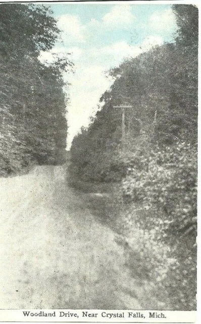 c1907 Crystal Falls, MI, Woodland Drive, hand tinted? colored?, dirt road 2
