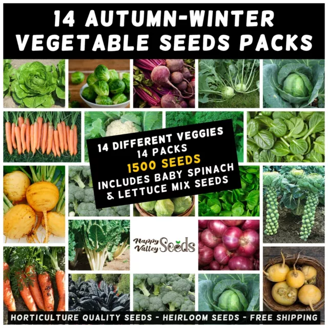 MIXED AUTUMN WINTER 1500+ VEGETABLE SEEDS HEIRLOOM 14PKS 14 TYPE Cold Temperate 2