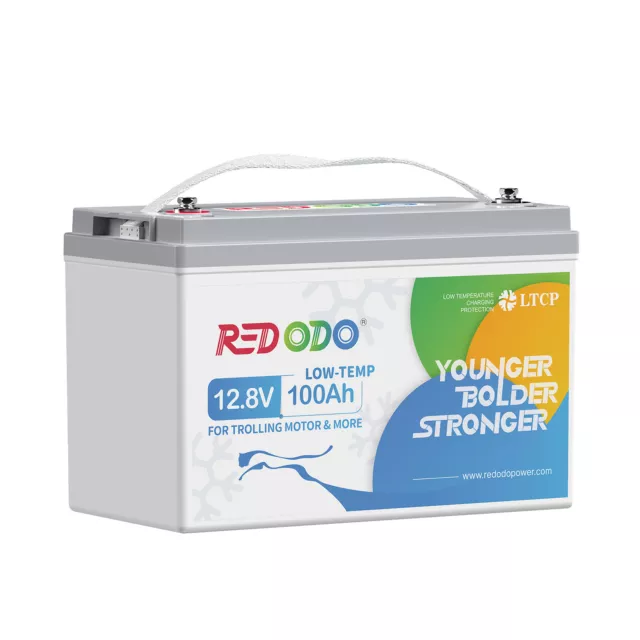 REDODO 12V 100AH Mini Größe LiFePO4 Batterie Lithium Batterie 100A
