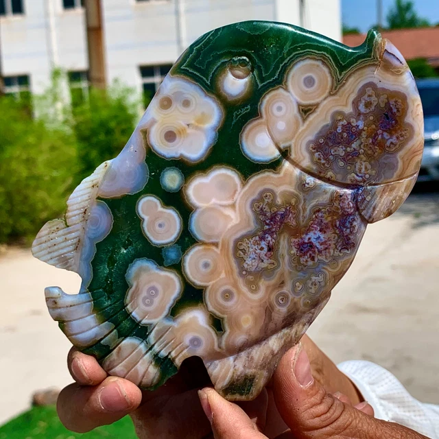 188G  Amazing Natural Ocean Jasper Crystal Carved Fish Jasper Halo Stone