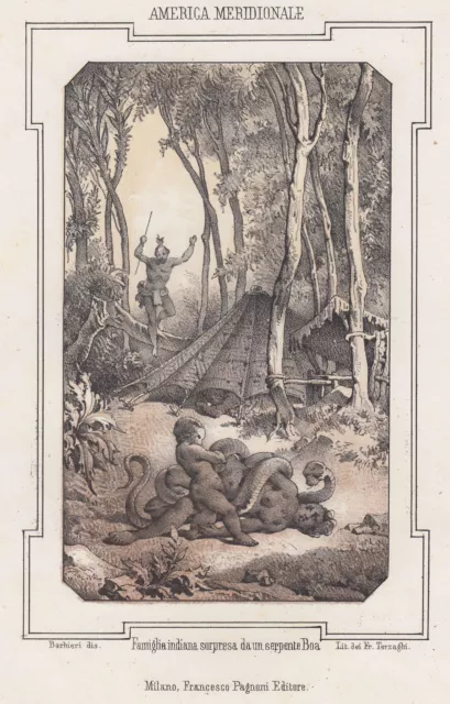 América Del Sur Ethnologie Original Litografía Terzaghi 1850