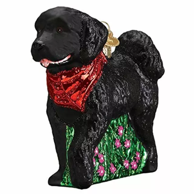 Old World Christmas Glass Blown Ornament, Black Doodle Dog (With OWC Gift Box)