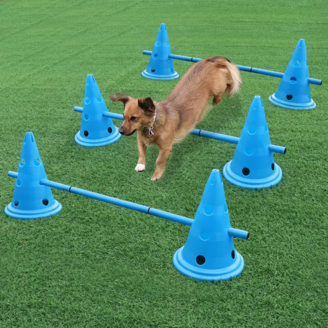 Set of 3 Dog Agility Equipment Jumps Kit Indoor Pet Training Kits Course Combo