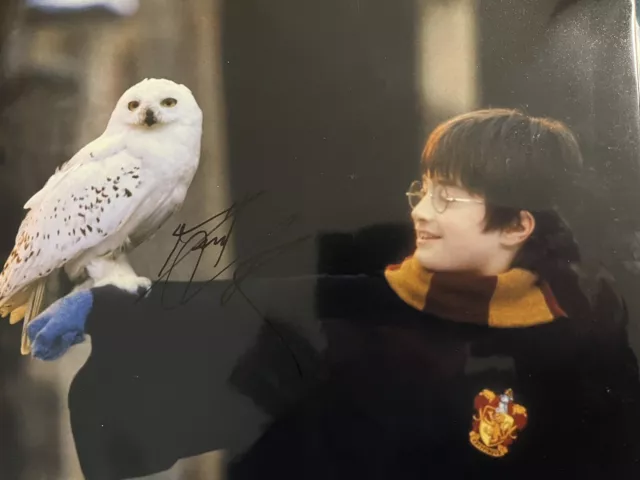 Daniel Radcliffe Signed 10x8 Inch Photo Photograph Autograph Harry Potter