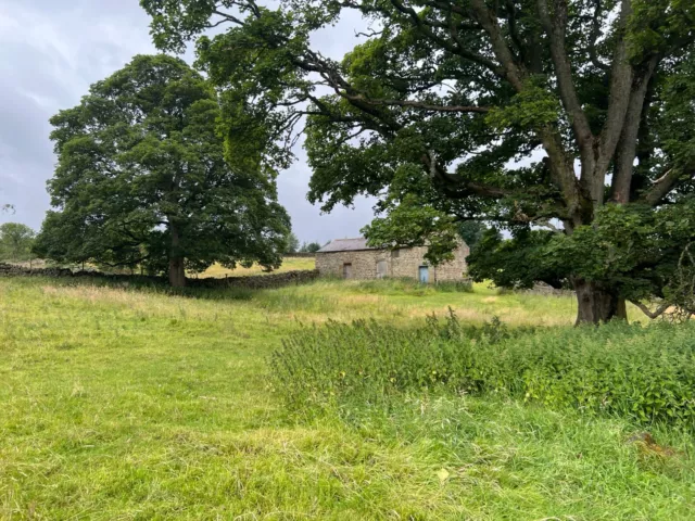 Land For Sale, Nidderdale, North Yorkshire, UK, 2 Fields with Barn