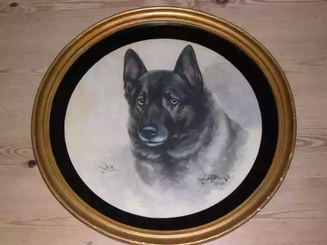 Large Antique Norwegian Elkhound Dog Watercolour Painting Ward Binks 1922