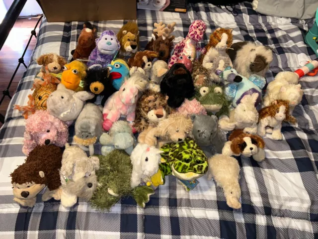 webkinz lot no codes