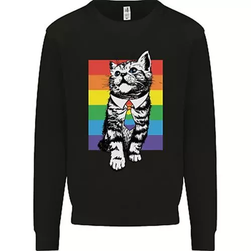 LGBT Cat Gay Pride Day Awareness Mens Sweatshirt Jumper