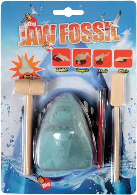 - Fossil & Discovery Set, Jaw (Sea) (T-180S) Great for Ages 3+ and at Home or in