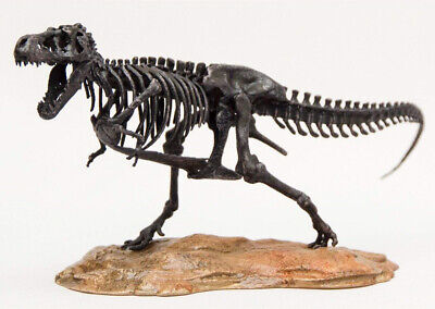 trex stan