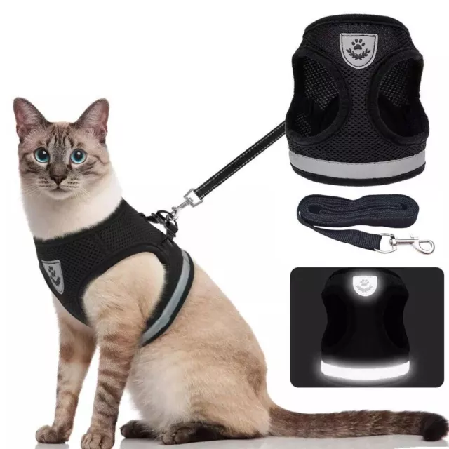 Breathable Cat Harness And Leash - Escape Proof - Pet Clothes - Kitten Puppy