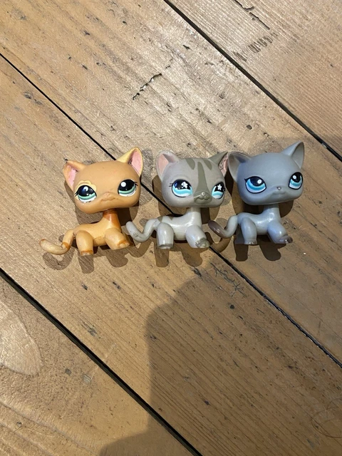 Puzzle chaton 4 pièces - Puzzle 0-2 ans