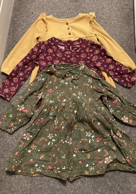 Girls clothes bundle 2-3 years incl Tu 3
