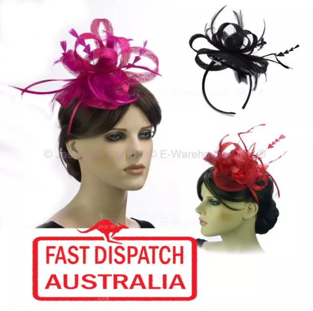 Spring Racing Race Party Melbourne Cup Feather Headband Clip Hairband Fascinator 2