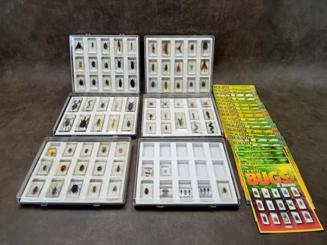 Job Lot of 76 National Geographic Real Life Bugs & Insects with Magazines Cases