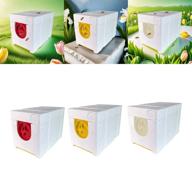 QUEEN BEE BREEDING Box Queen Rearing Nucs Bee Apidea Mating Hive ...