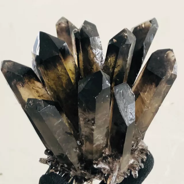 592g  New Find Black Phantom Quartz Crystal Cluster Mineral Specimen Healing
