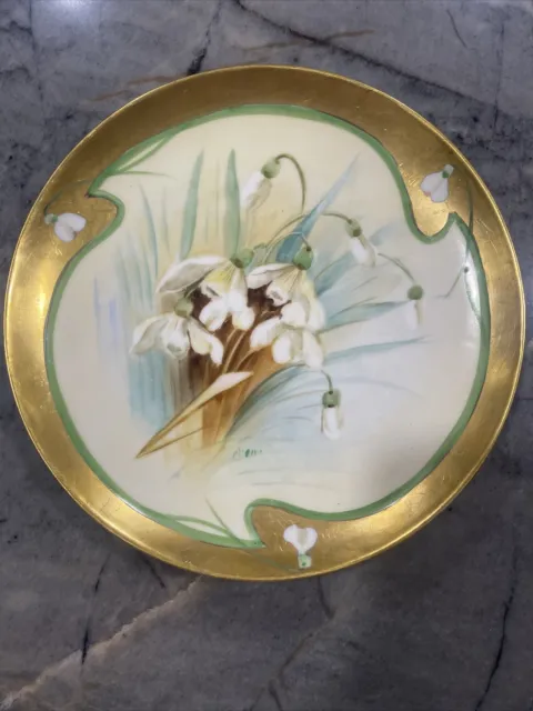 Gorgeous Haviland France & Pickard Studio Hand Painted Plate