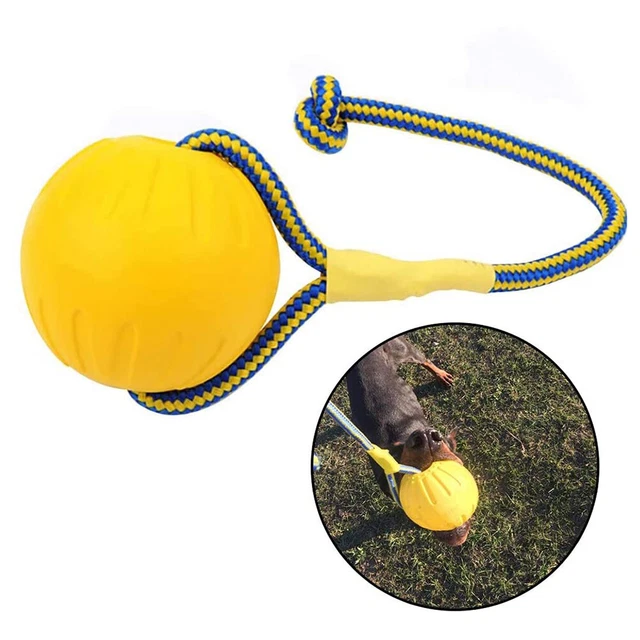 EVA Floating Pet Ball Puppy Bissfester Ball mit Seil Pet Training Ball Spielzeug