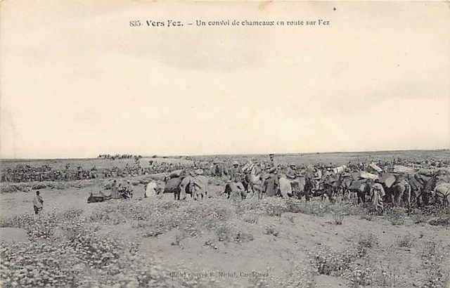 Maroc - Vers Fez - Un convoi de chameaux en route sur Fez - Ed. E. Michel 835