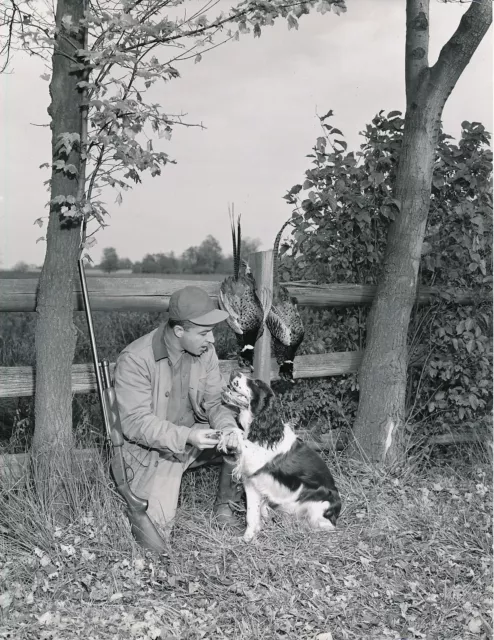 CHASSE c. 1950 - Chasseur Fusil Chien Faisans USA - GF 384
