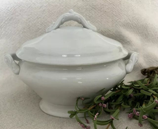 ANTIQUE WHITE IRONSTONE COVERED SAUCE DISH TUREEN MEAKIN BROS.& Co. ENGLAND