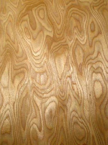 Radica Texture QUERCIA VENATURA RADICA Impiallacciatura Anta IN Legno Saraifo 250x31 ...