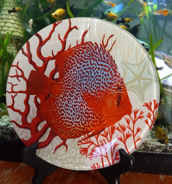 Vintage Old Aquarium Fishtank 8" Ceramic Super Turquoise Red Discus Fish Plate