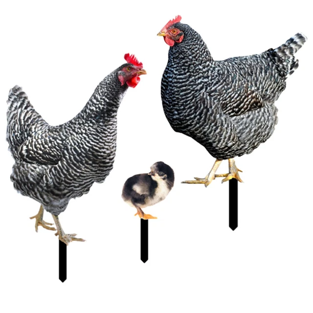 3 Pcs rooster garden statue Hen Sculpture Ornament Decorate Acrylic Garden