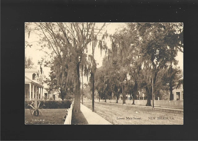 Vintage Postcard  Louisiana  New Iberia Lower Main Street